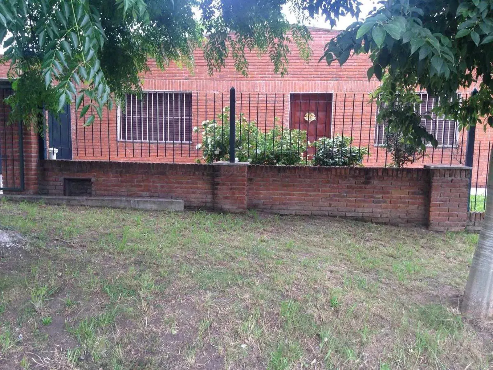 Imagen 1