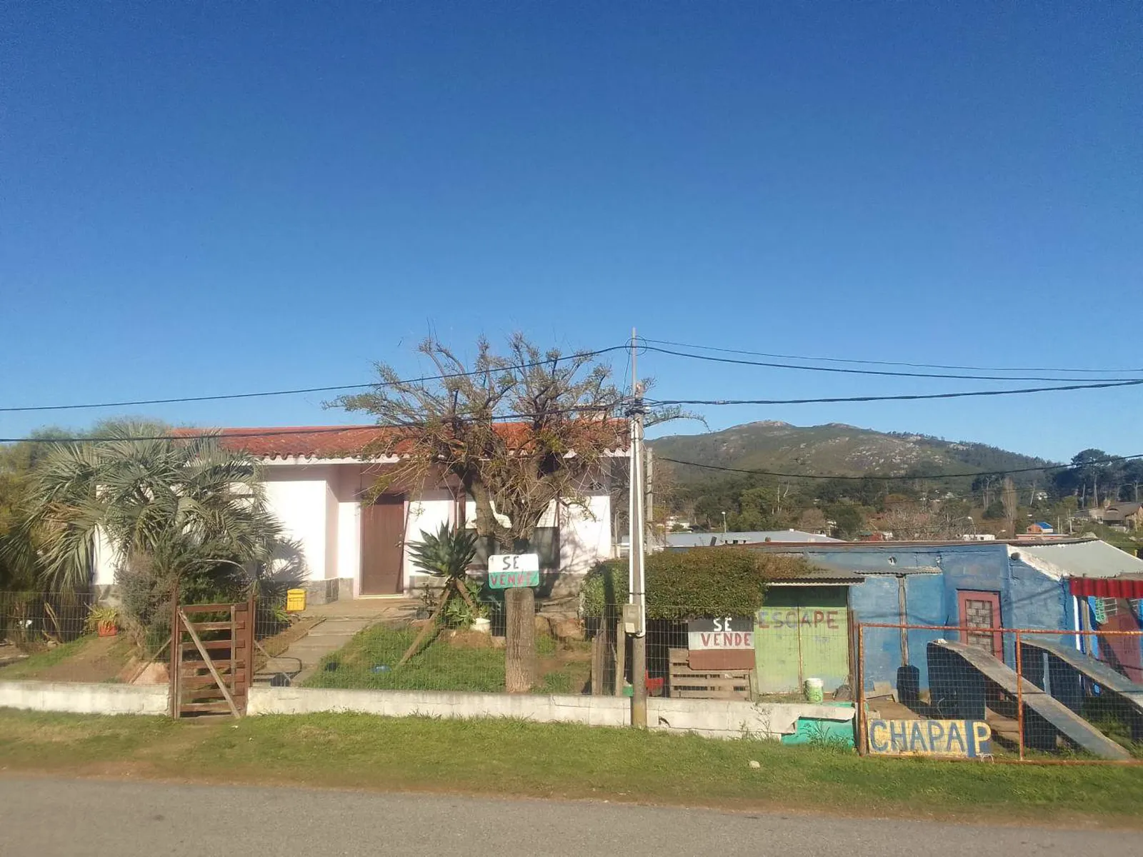 Imagen 1